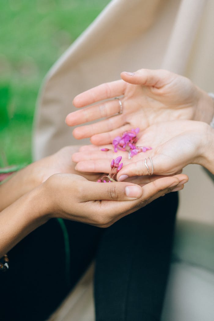 Two hands exchanging delicate pink flower petals in a peaceful outdoor setting.